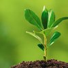 ESG in der öffentlichen Vergabe ESG in der öffentlichen Vergabe