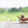 Wie UHNWI sich zu ESG positionieren