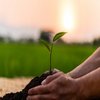 Snapshots on selected ESG regulations