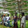 FORUM ist klimaneutral - Helfen auch Sie mit, die Natur zu schützen! FORUM ist klimaneutral - Helfen auch Sie mit, die Natur zu schützen!