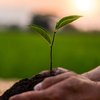 Selected ESG regulations Selected ESG regulations