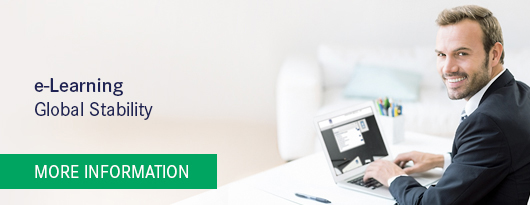e-Learning: Global Stability - more information >>