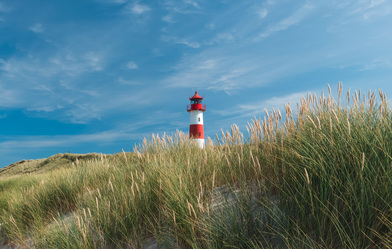 Lehrgang 20. SommerSpecial: Vergaberecht